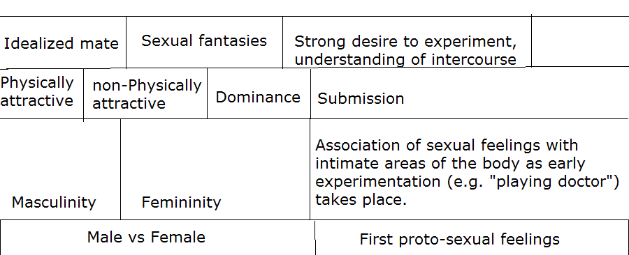 diagram explainng sexual development in conceptual terms