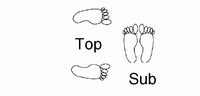 correct foot position