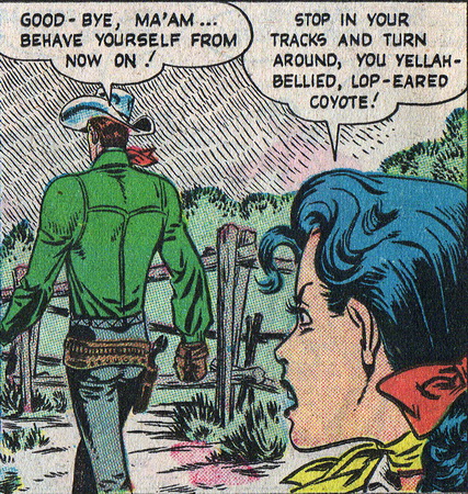 western life romances #2 panel