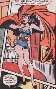 Phantom Lady #15.  Notice her belt-buckle emblem?  We thought not.