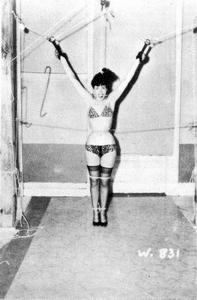 Bettie's best-selling bondage pic with Irving Klaw.