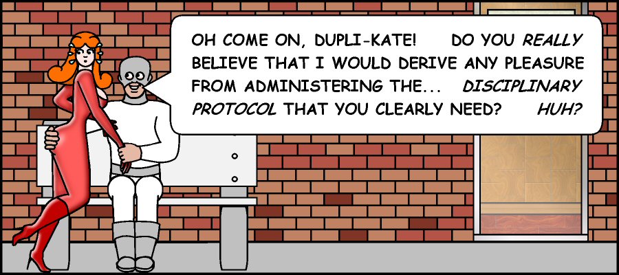 0001 dupli-kate 03.jpg