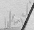 &quot;W Engel&quot; signature from &quot;Soundeffect&quot; (questioned)