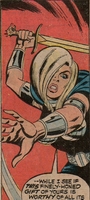 The Valkyrie, from Defenders #12 (Feb 1973)